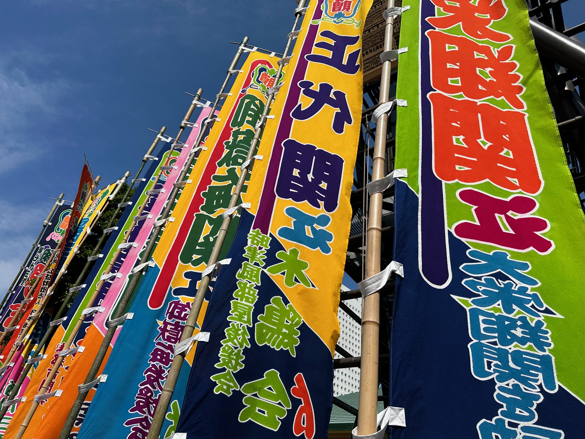 Sumo Stable Flags