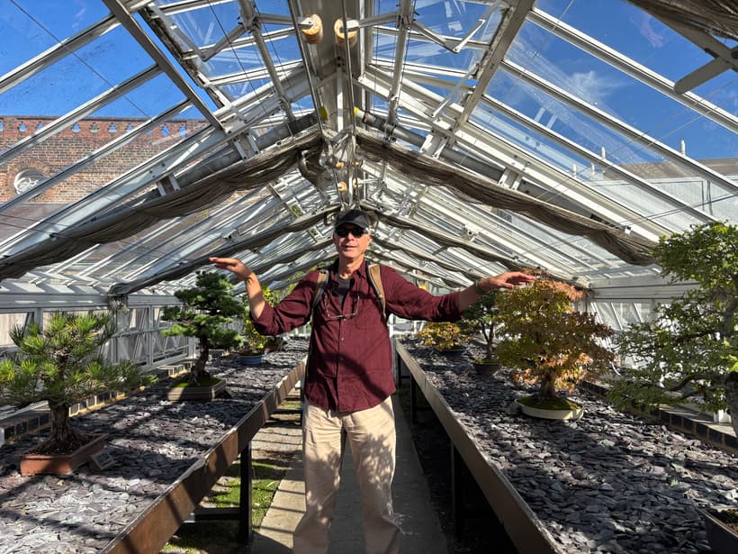 Ken being a Bonsai