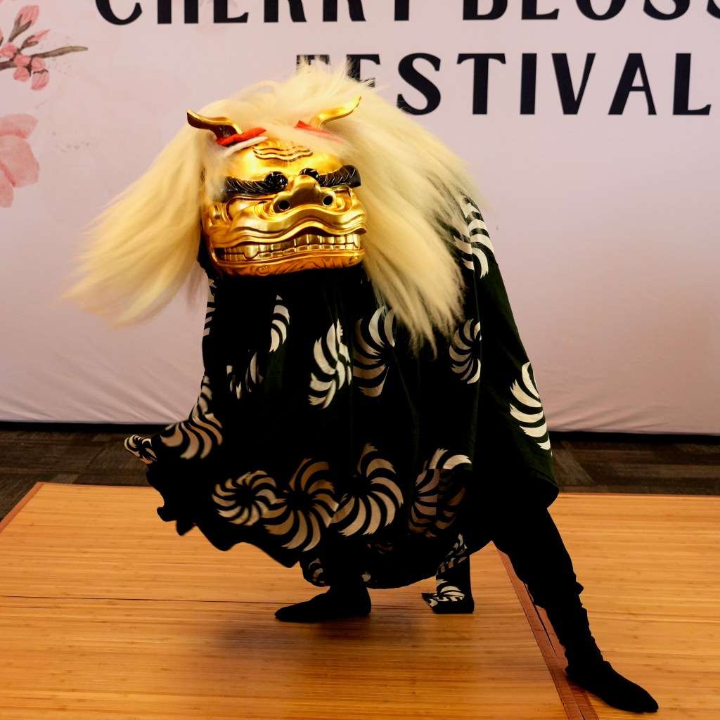 Shishi at Cherry Blossom 2025